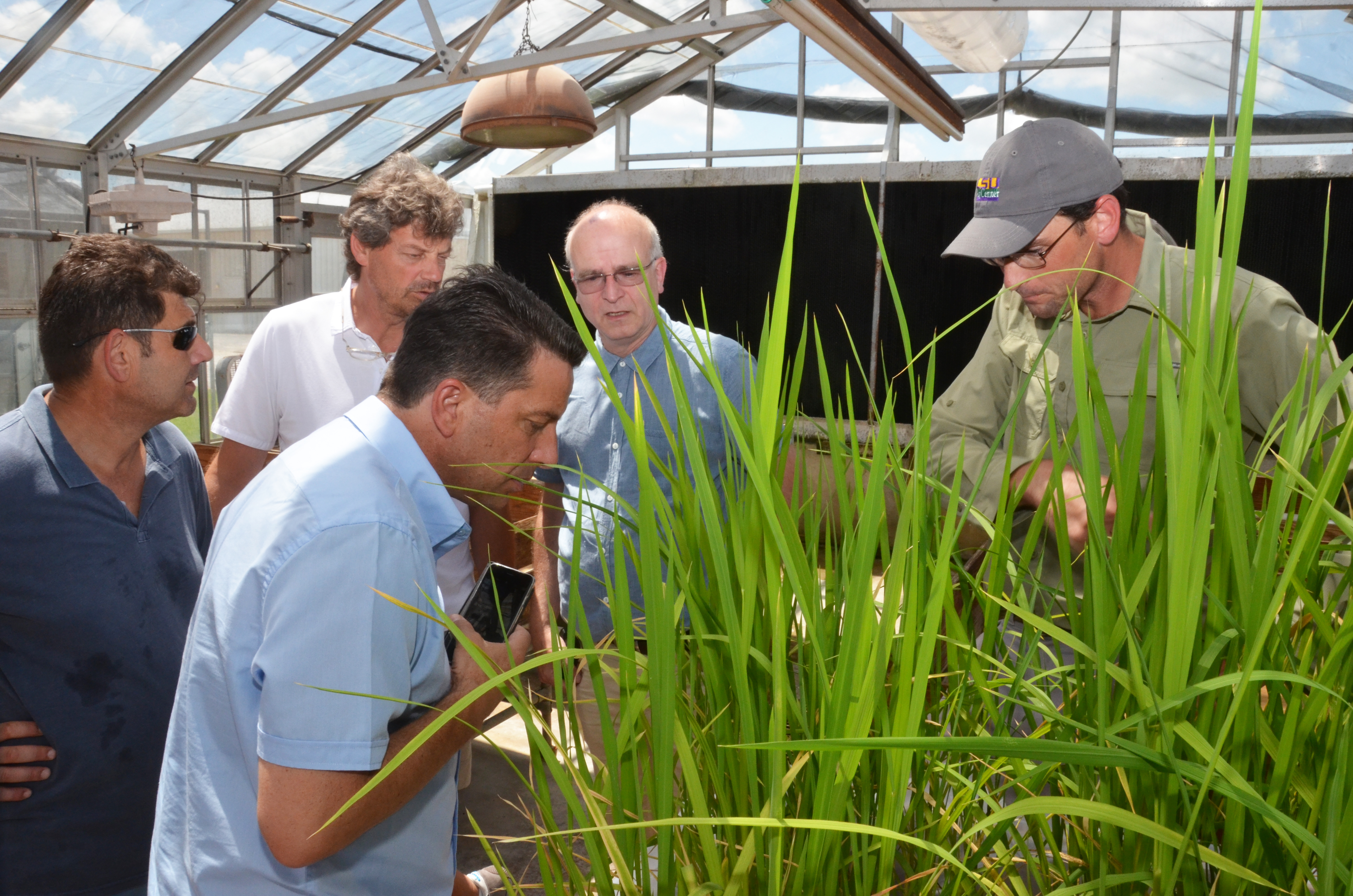 AgCenter research station hosts representatives of Italian seed company 